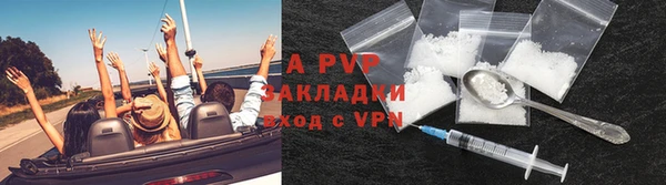 амф Магадан