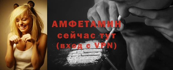 прущие грибы Нестеровская