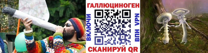 Псилоцибиновые грибы Psilocybe  blacksprut сайт  Кудрово 