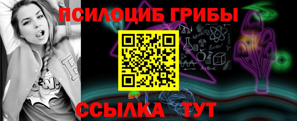 Псилоцибиновые грибы ЛСД  Вход с VPN  Псилоцибиновые грибы GOLDEN TEACHER  Кудрово 