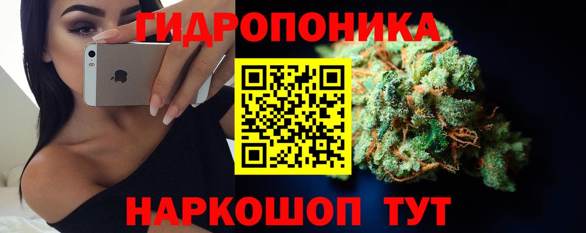 Бошки марихуана OG Kush Кудрово